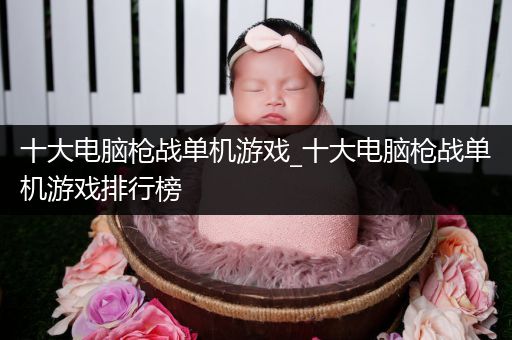 十大电脑枪战单机游戏_十大电脑枪战单机游戏排行榜