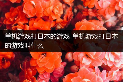 单机游戏打日本的游戏_单机游戏打日本的游戏叫什么