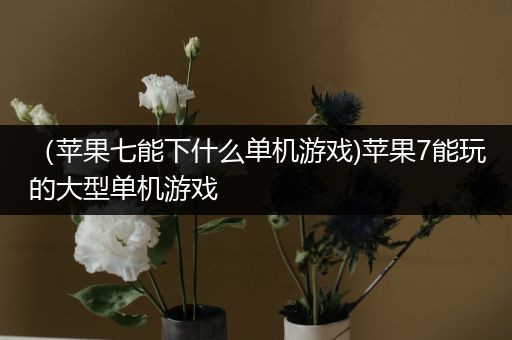 （苹果七能下什么单机游戏)苹果7能玩的大型单机游戏