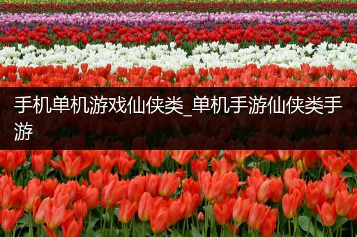 手机单机游戏仙侠类_单机手游仙侠类手游