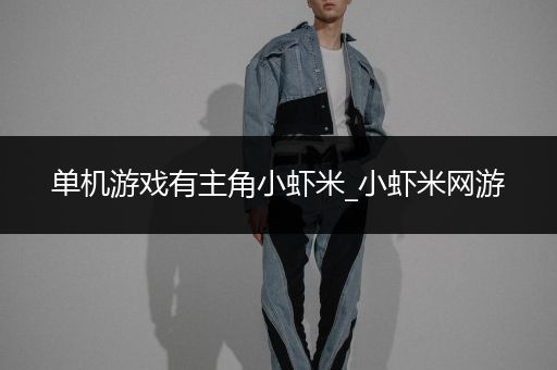 单机游戏有主角小虾米_小虾米网游