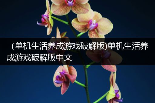 （单机生活养成游戏破解版)单机生活养成游戏破解版中文