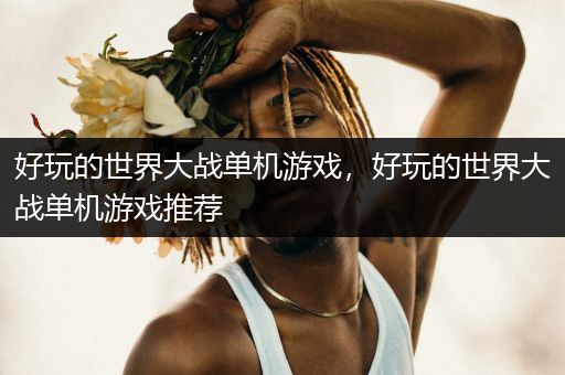 好玩的世界大战单机游戏，好玩的世界大战单机游戏推荐