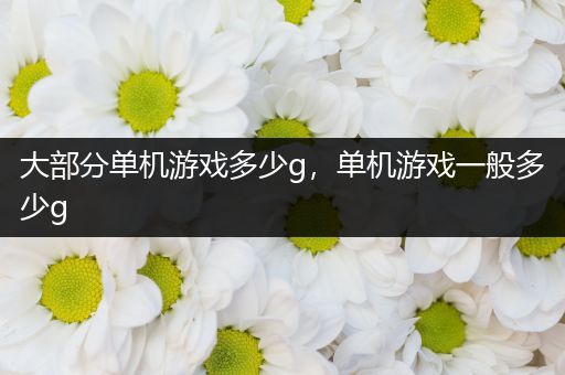 大部分单机游戏多少g，单机游戏一般多少g