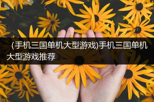 （手机三国单机大型游戏)手机三国单机大型游戏推荐