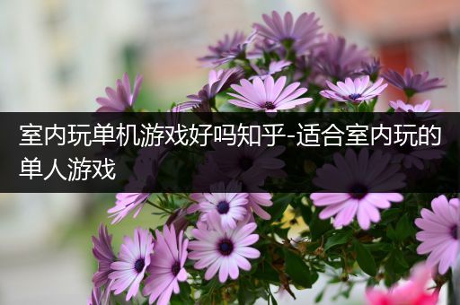 室内玩单机游戏好吗知乎-适合室内玩的单人游戏