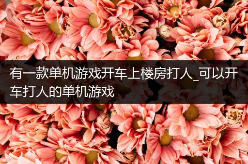 有一款单机游戏开车上楼房打人_可以开车打人的单机游戏