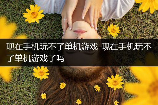 现在手机玩不了单机游戏-现在手机玩不了单机游戏了吗