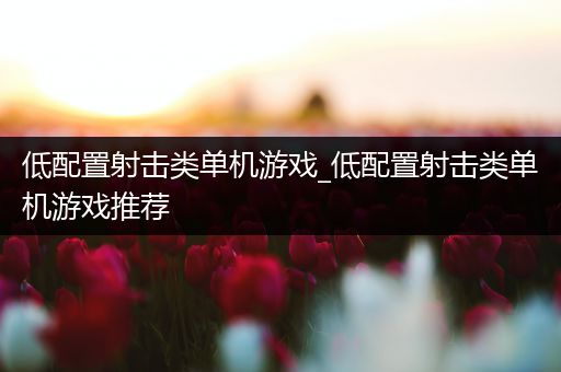 低配置射击类单机游戏_低配置射击类单机游戏推荐