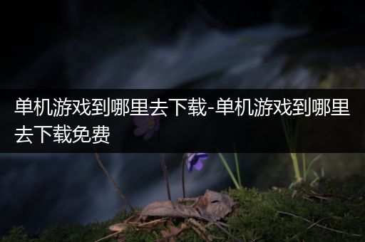 单机游戏到哪里去下载-单机游戏到哪里去下载免费