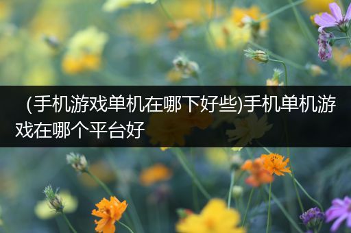 （手机游戏单机在哪下好些)手机单机游戏在哪个平台好