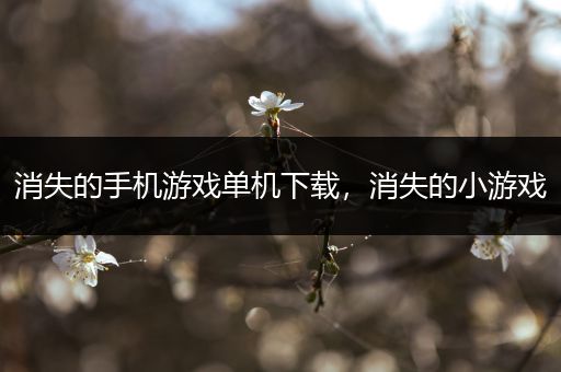 消失的手机游戏单机下载，消失的小游戏