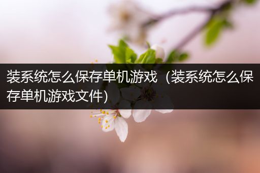 装系统怎么保存单机游戏（装系统怎么保存单机游戏文件）