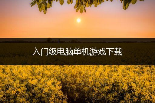 入门级电脑单机游戏下载