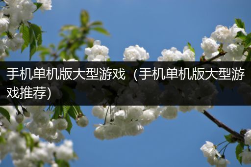 手机单机版大型游戏（手机单机版大型游戏推荐）