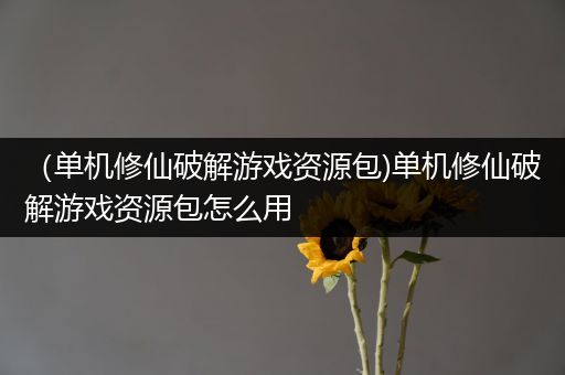 （单机修仙破解游戏资源包)单机修仙破解游戏资源包怎么用