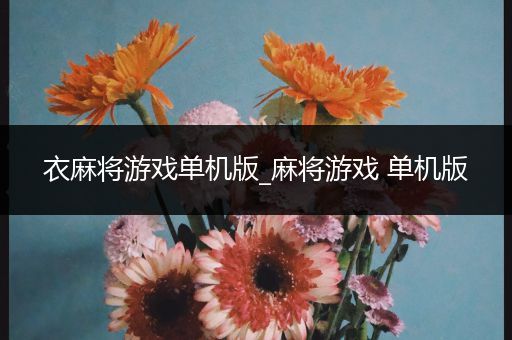 衣麻将游戏单机版_麻将游戏 单机版