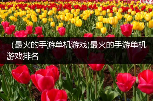 （最火的手游单机游戏)最火的手游单机游戏排名