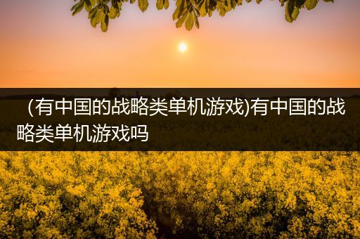 （有中国的战略类单机游戏)有中国的战略类单机游戏吗