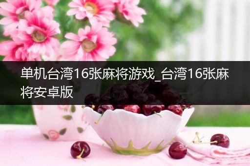 单机台湾16张麻将游戏_台湾16张麻将安卓版