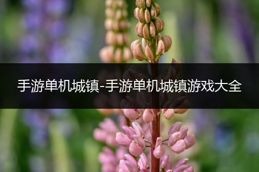 手游单机城镇-手游单机城镇游戏大全