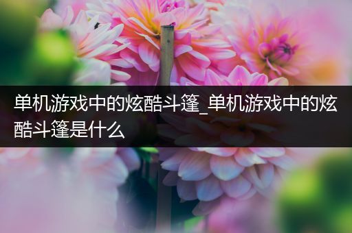 单机游戏中的炫酷斗篷_单机游戏中的炫酷斗篷是什么