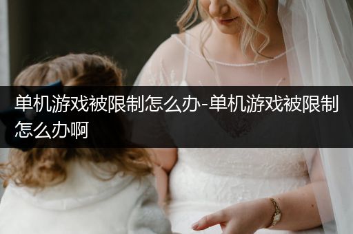 单机游戏被限制怎么办-单机游戏被限制怎么办啊
