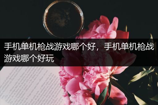 手机单机枪战游戏哪个好，手机单机枪战游戏哪个好玩