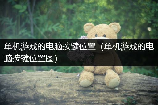 单机游戏的电脑按键位置（单机游戏的电脑按键位置图）