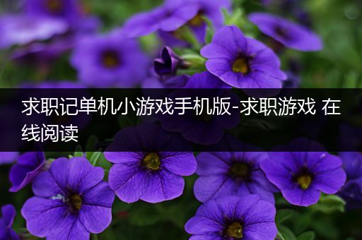 求职记单机小游戏手机版-求职游戏 在线阅读