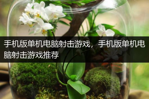 手机版单机电脑射击游戏，手机版单机电脑射击游戏推荐