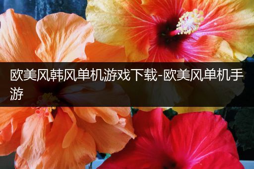 欧美风韩风单机游戏下载-欧美风单机手游