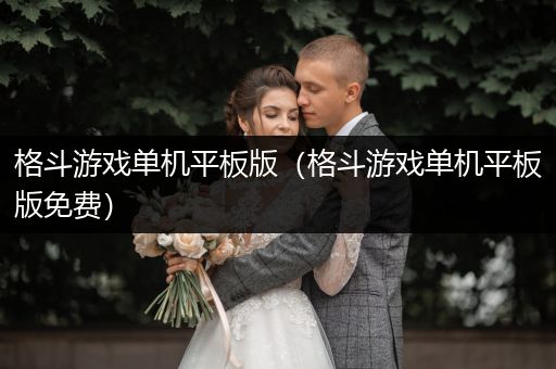 格斗游戏单机平板版（格斗游戏单机平板版免费）