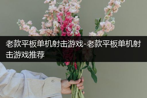 老款平板单机射击游戏-老款平板单机射击游戏推荐