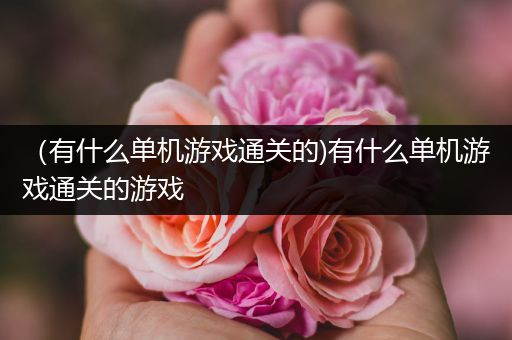 （有什么单机游戏通关的)有什么单机游戏通关的游戏