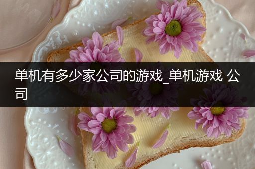 单机有多少家公司的游戏_单机游戏 公司
