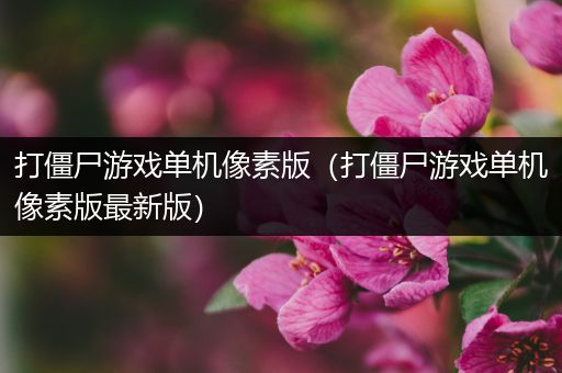 打僵尸游戏单机像素版（打僵尸游戏单机像素版最新版）