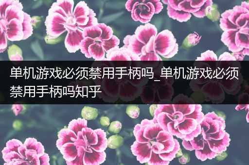 单机游戏必须禁用手柄吗_单机游戏必须禁用手柄吗知乎