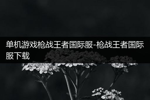 单机游戏枪战王者国际服-枪战王者国际服下载