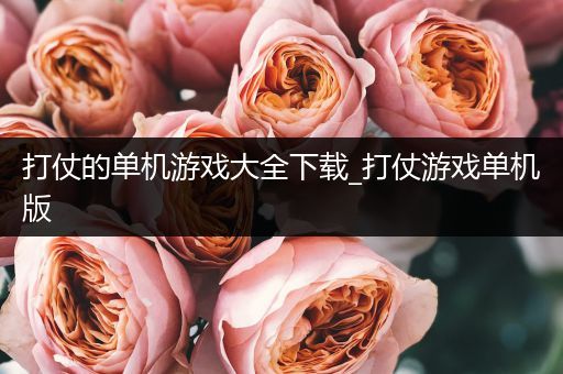 打仗的单机游戏大全下载_打仗游戏单机版