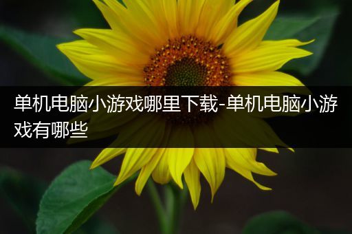 单机电脑小游戏哪里下载-单机电脑小游戏有哪些
