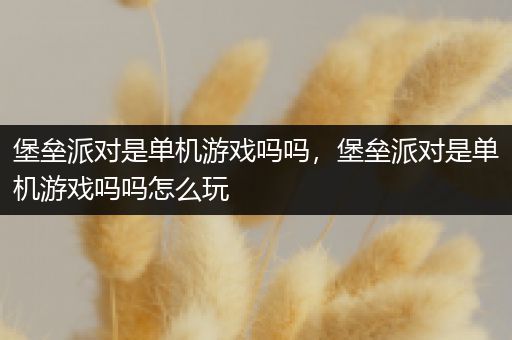 堡垒派对是单机游戏吗吗，堡垒派对是单机游戏吗吗怎么玩