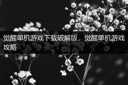 觉醒单机游戏下载破解版，觉醒单机游戏攻略