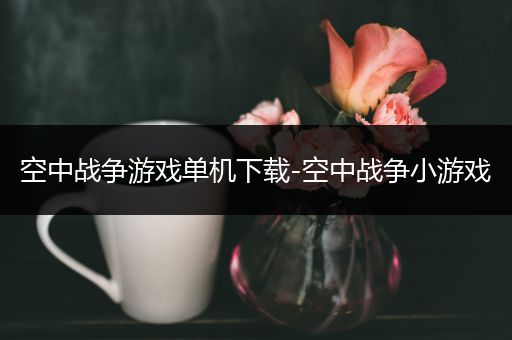 空中战争游戏单机下载-空中战争小游戏