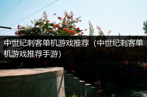 中世纪刺客单机游戏推荐（中世纪刺客单机游戏推荐手游）