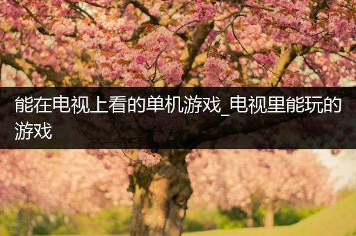 能在电视上看的单机游戏_电视里能玩的游戏
