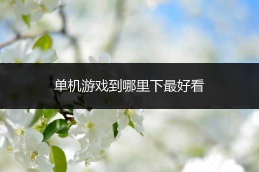 单机游戏到哪里下最好看