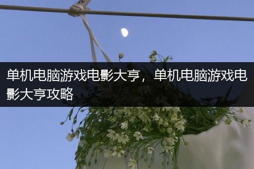 单机电脑游戏电影大亨，单机电脑游戏电影大亨攻略