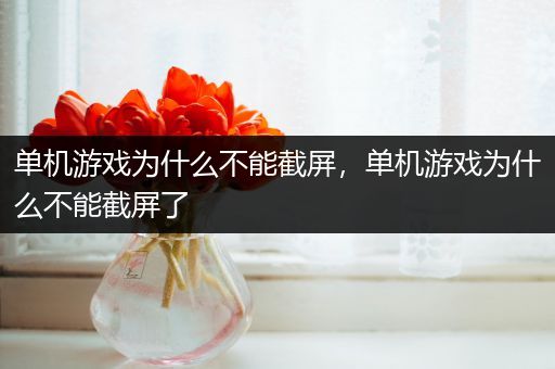 单机游戏为什么不能截屏，单机游戏为什么不能截屏了
