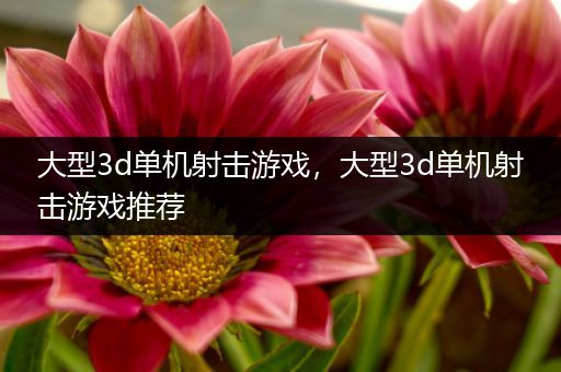 大型3d单机射击游戏，大型3d单机射击游戏推荐